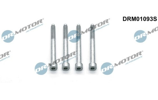 Screw, injection nozzle holder