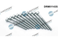 Screw, injection nozzle holder