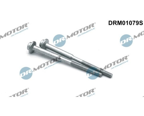 Screw, injection nozzle holder