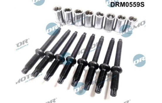 Screw, injection nozzle holder