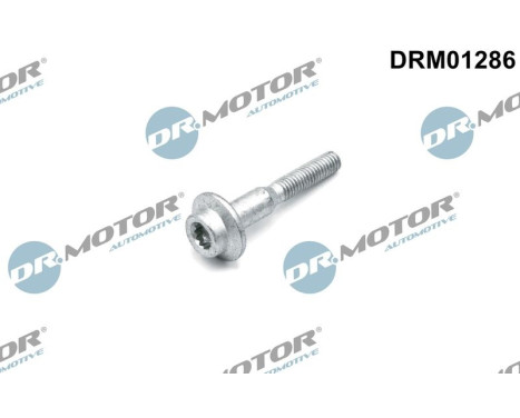 Screw, injection nozzle holder