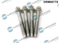 Screw, injection nozzle holder