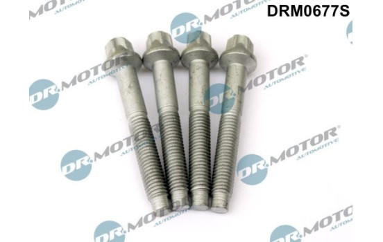 Screw, injection nozzle holder