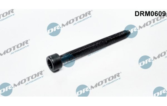 Screw, injection nozzle holder