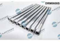 Screw, injection nozzle holder