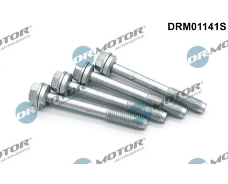Screw, injection nozzle holder