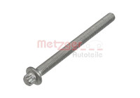 Screw, injector holder