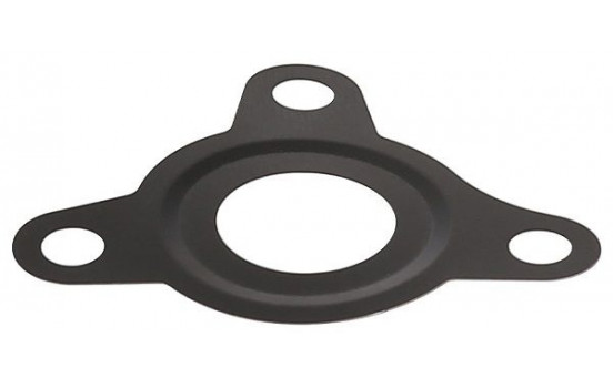 Seal, injection pump