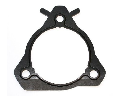 Seal, injection pump