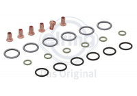 Seal, Injector/Nozzle