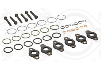 Seal, Injector/Nozzle