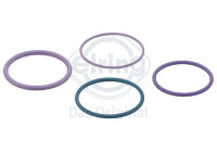 Seal, Injector/Nozzle