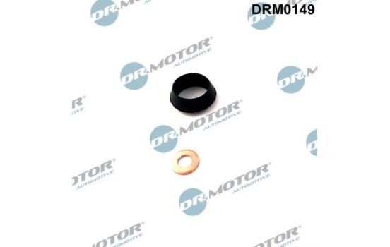 Seal, Injector/Nozzle