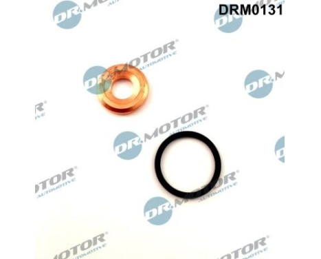 Seal, Injector/Nozzle