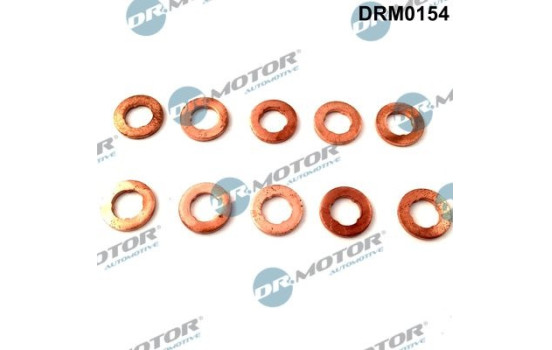 Seal, Injector/Nozzle