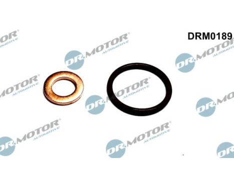 Seal, Injector/Nozzle