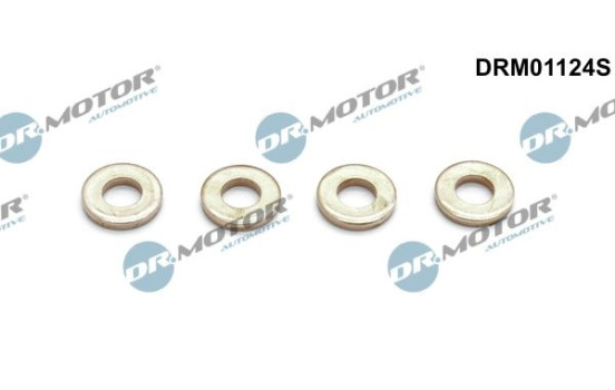 Seal, Injector/Nozzle