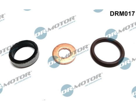 Seal, Injector/Nozzle