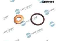 Seal, Injector/Nozzle