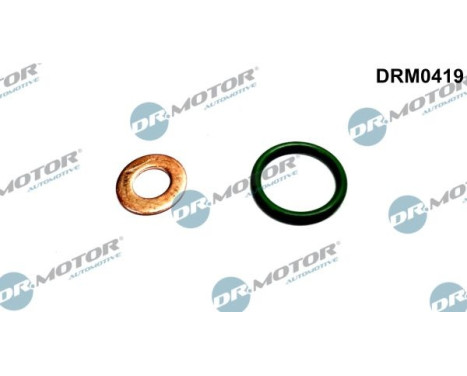 Seal, Injector/Nozzle
