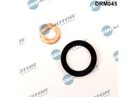 Seal, Injector/Nozzle