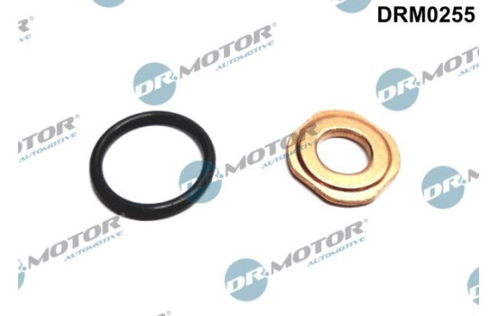 Seal, Injector/Nozzle