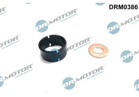 Seal, Injector/Nozzle