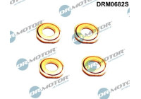 Seal, Injector/Nozzle