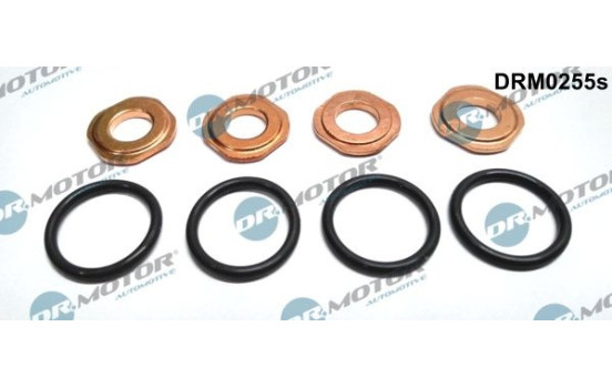 Seal, Injector/Nozzle