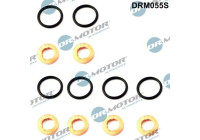 Seal, Injector/Nozzle