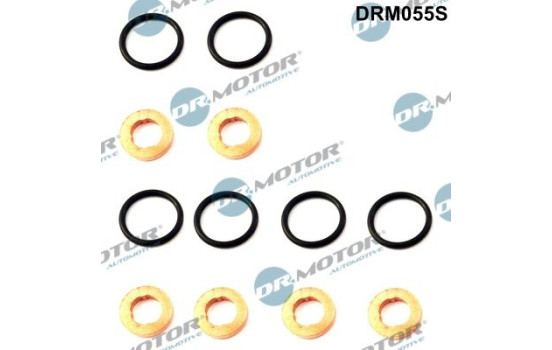 Seal, Injector/Nozzle