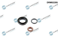 Seal, injector