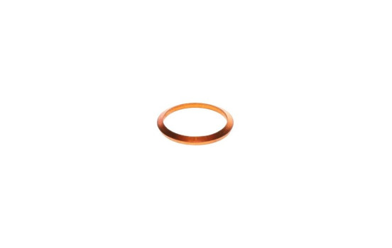 Seal ring, Atomizer/Injector 2 430 105 044 Bosch