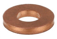 Seal ring, Atomizer/Injector