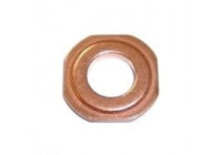 Seal ring, Atomizer/Injector