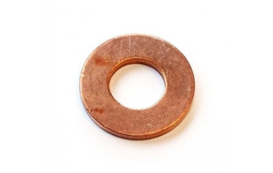 Seal ring, Atomizer/Injector