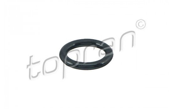 Seal ring, Atomizer/Injector