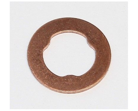 Seal ring, Atomizer/Injector