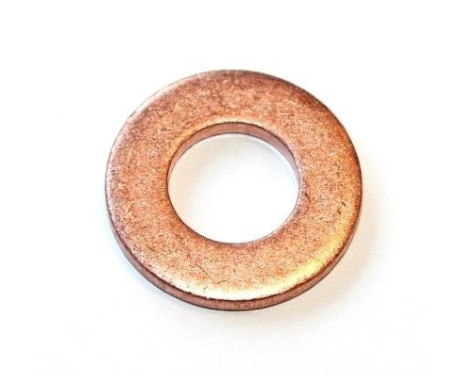 Seal ring, Atomizer/Injector