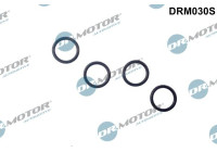 Seal ring, Atomizer/Injector