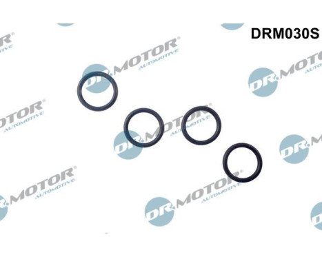 Seal ring, Atomizer/Injector