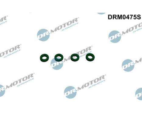 Seal ring, Atomizer/Injector