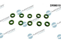 Seal ring, Atomizer/Injector