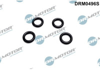 Seal ring, Atomizer/Injector