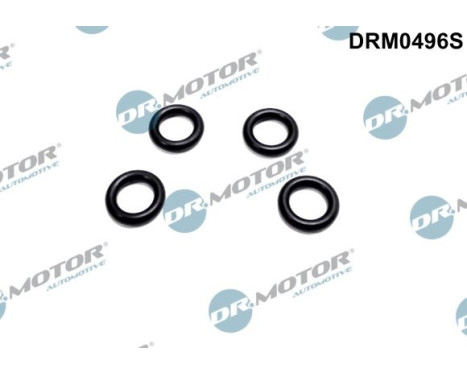 Seal ring, Atomizer/Injector