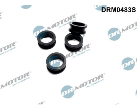 Seal ring, Atomizer/Injector