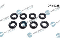 Seal ring, Atomizer/Injector