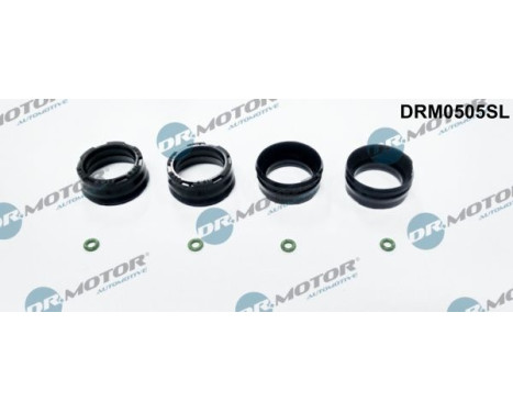 Seal ring, Atomizer/Injector