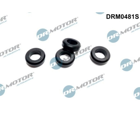 Seal ring, Atomizer/Injector