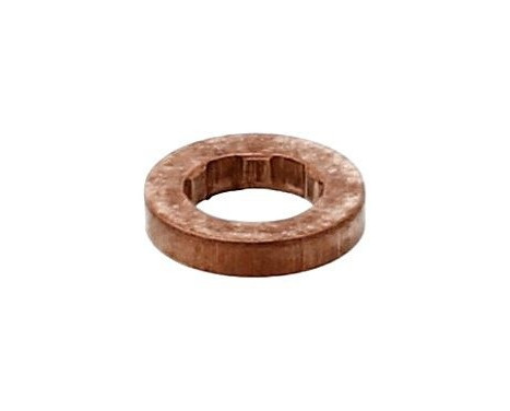 Seal ring, Atomizer/Injector